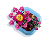 LEGO BOTANICALS 11509 Kwitnący kaktus - 1473413 - zdjęcie 12